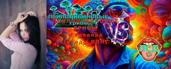 спайс Арсеньев