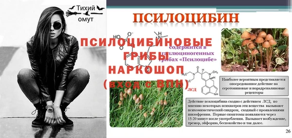 спайс Арсеньев