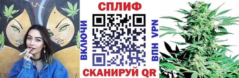 Купить Себеж Канабис семена